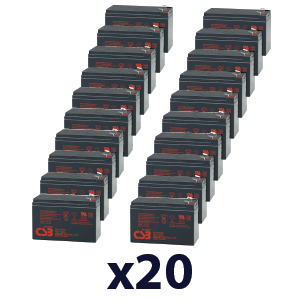 AEG Protect C 6000 UPS Batteries GP1272F2X20-C6000