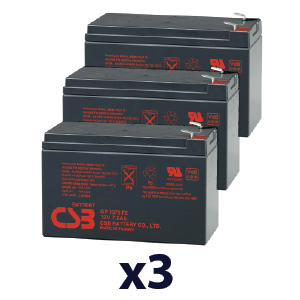 AEG Protect C 1000 UPS Batteries GP1272F2X3-C1000